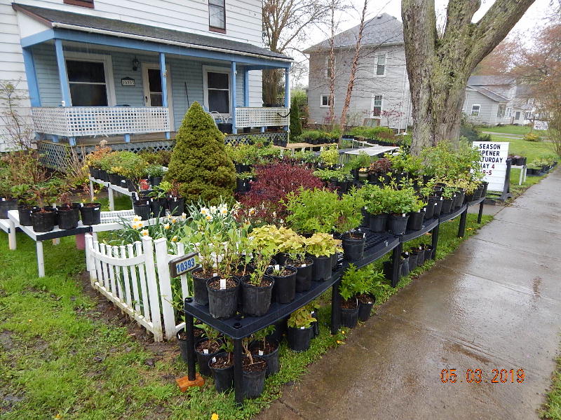 Front yard full of plants for sale