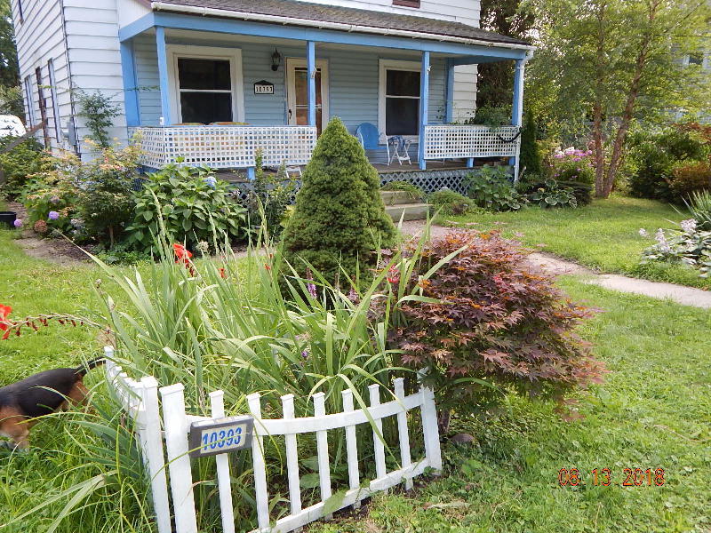 Driveway Corner 2018