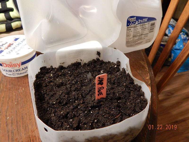 Milk jug ready to close up