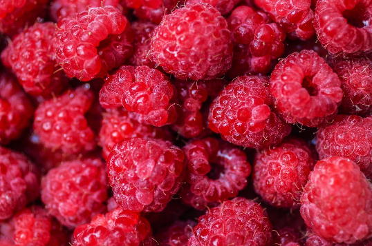 Red Raspberries