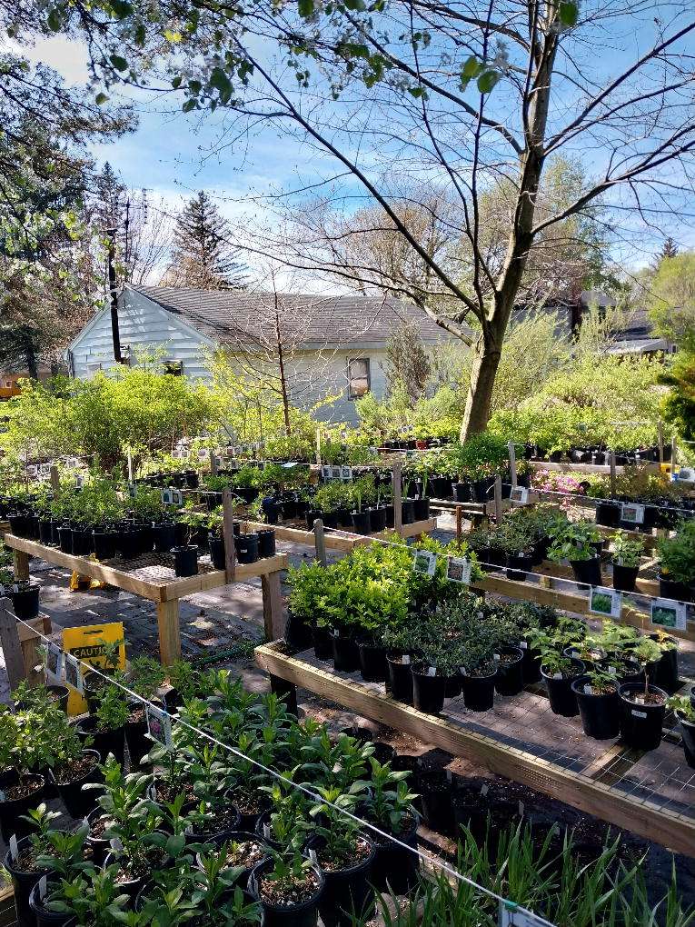 View of the nursery