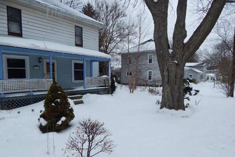 Winter hardiness in the yard